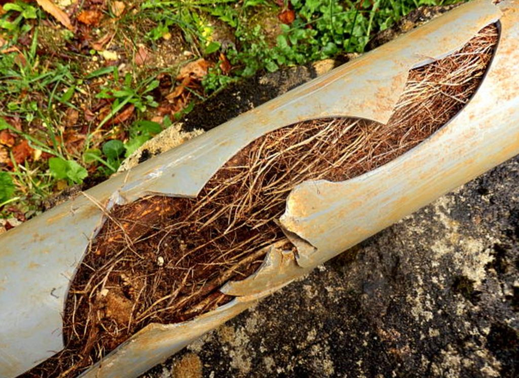 blocked and cracked pipe
